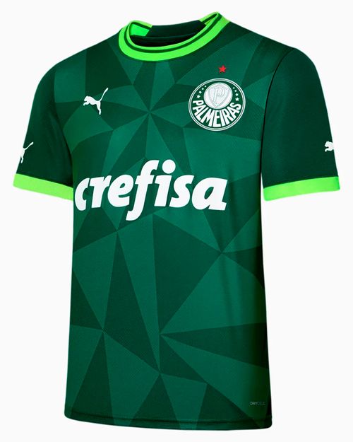 Camisa Palmeiras I 23 Puma Masculina Torcedor Home