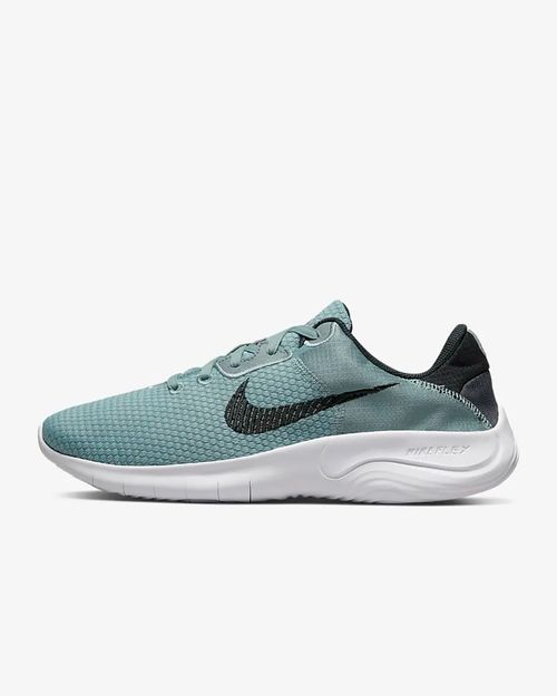 Tênis Masculino Nike Flex Experience Run 11 Next Nature