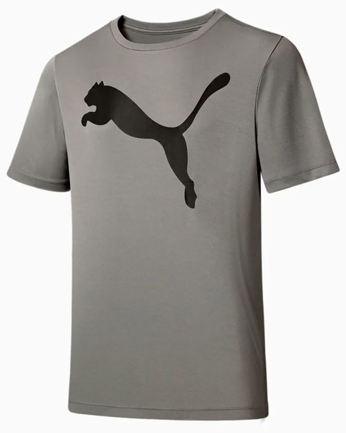 Camiseta Masculina Puma Active Big Logo