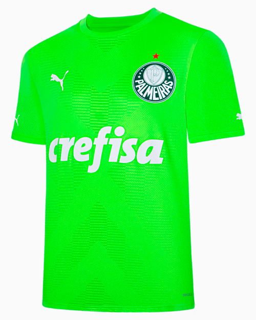 Camisa de Goleiro Palmeiras 23 Puma Masculina Torcedor Away