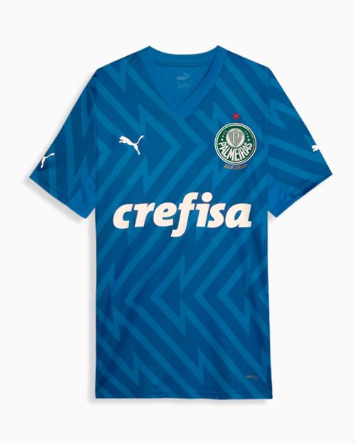 Camisa de Goleiro Palmeiras 24/25 Puma Masculina Torcedor Home