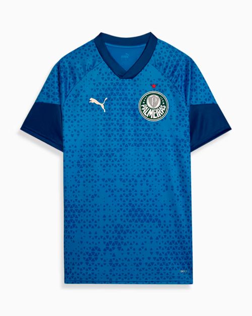 Camisa Masculina Puma Treino e Viagem Palmeiras Torcedor 2024