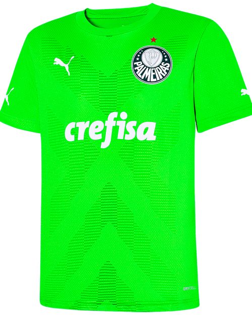 Camisa de Goleiro Infantil Palmeiras 23/24 Puma Torcedor Away