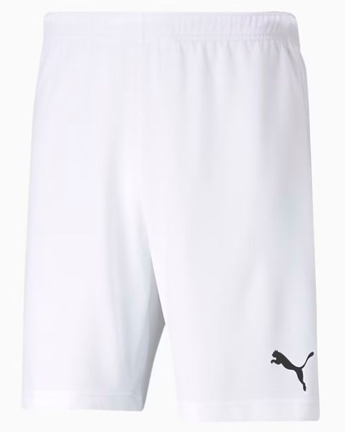 Shorts Masculino Puma TEAMRISE