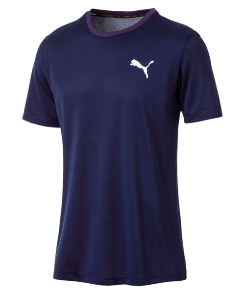 Camiseta Masculina Puma Logo Poly