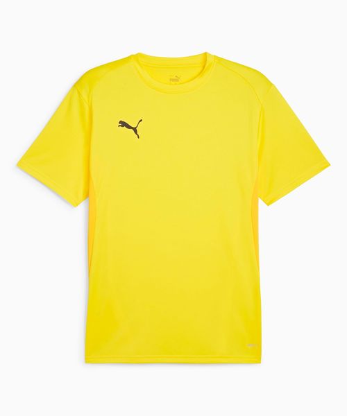 Camisa Masculina Puma TeamGOAL Jersey