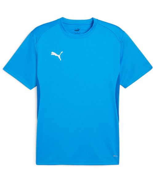 Camisa Masculina Puma TeamGOAL Jersey